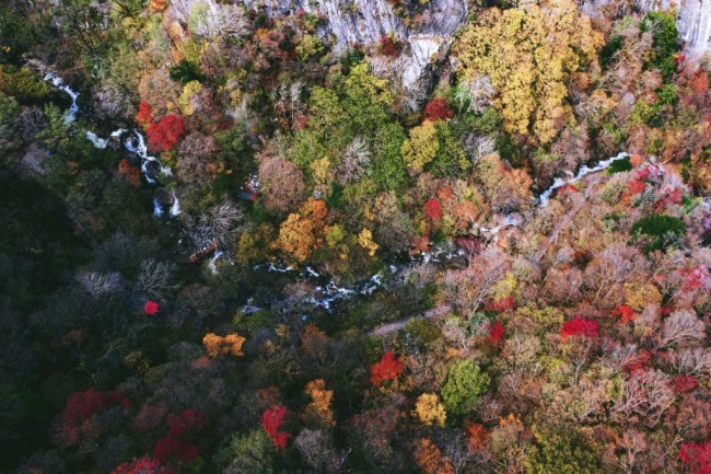 一覽紅葉滿(mǎn)山